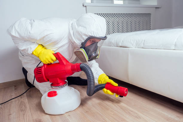 Best Residential Pest Control  in Hastings, MI
