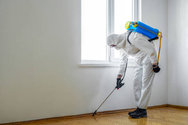 Best Mosquito Control Services  in Hastings, MI