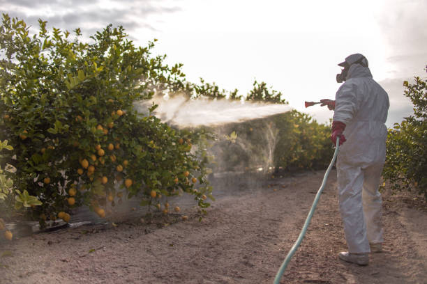 Best Local Pest Control Services  in Hastings, MI