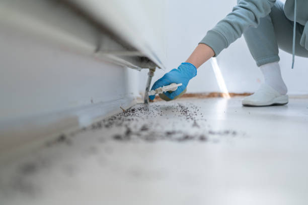 Best Pest Control Near Me  in Hastings, MI